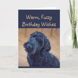 Warmer, schwammiger Geburtstag wünscht Niedlichen  Karte