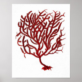 Warmes Rotes Meer Korallenriff Nr.11 Beach Wall Ar Poster
