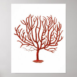 Warmes Rotes Meer Korallenriff nr.4 Strandwall Art Poster