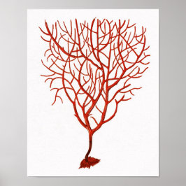 Warmes Rotes Meer Korallenriff nr.6 Strandwall Art Poster
