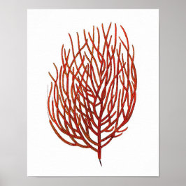 Warmes Rotes Meer Korallenriff nr.9 Strandwall Art Poster