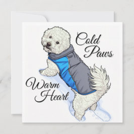 Warmherz-Bichon im Schnee