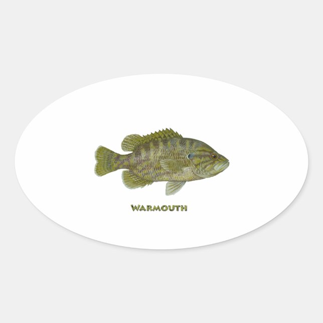 Warmouth Bass Ovaler Aufkleber (Vorderseite)