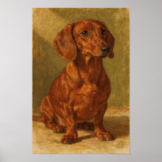 Warmr Ochre-Dachshund-Porträt Poster