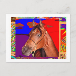 Warnhinweis Niedlich Brown HORSE: Stallion Racer Postkarte