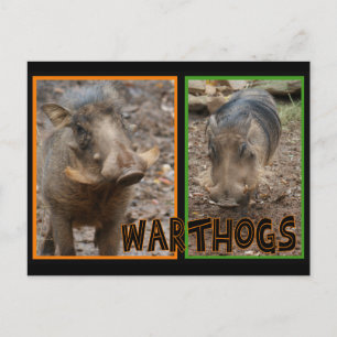 WARNHINWEISE - WILDE TIERE POSTKARTE
