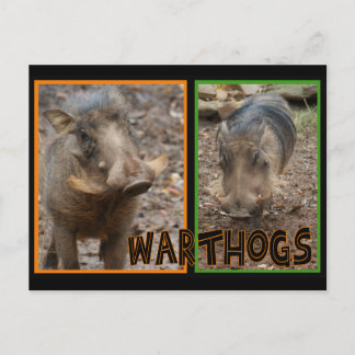 WARNHINWEISE - WILDE TIERE POSTKARTE