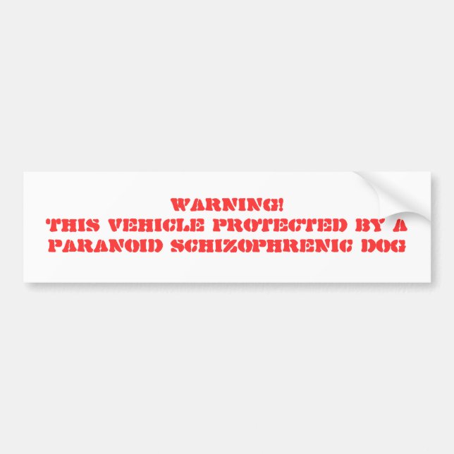 WARNING! DIESES FAHRZEUG GESCHÜTZT DURCH EIN AUTOAUFKLEBER (Vorne)