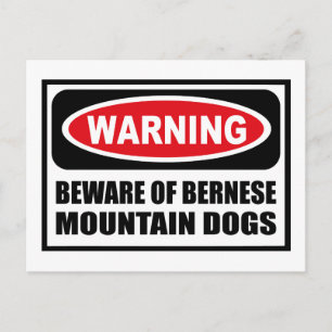 Warnung BEWERTUNG BERNESISCHER HUNDE Postkarte