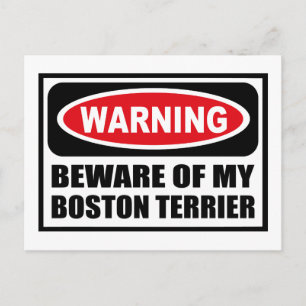 Warnung BEWERTUNG MEINER BOSTON TERRIER Postkarte