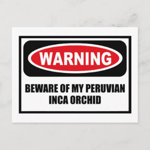 Warnung BEWERTUNG MEINER PERUVIAN INCA ORCHID Post Postkarte