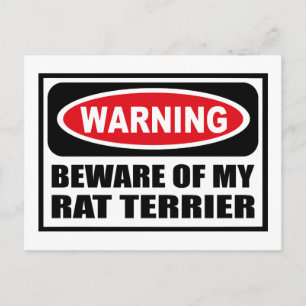 Warnung BEWERTUNG MEINER RAT TERRIER Postkarte