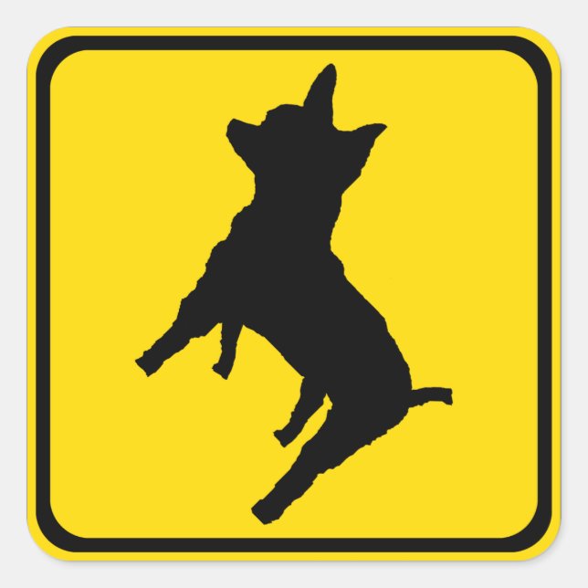 Warnung - Chihuahua voraus! Quadratischer Aufkleber (Vorderseite)