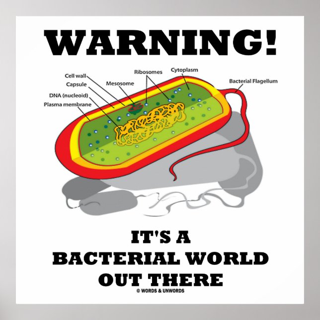 Warnung! Es ist eine bakterielle Welt da draußen Poster (Vorne)