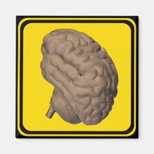 Warnung: Gehirnüberquerung! Magnet