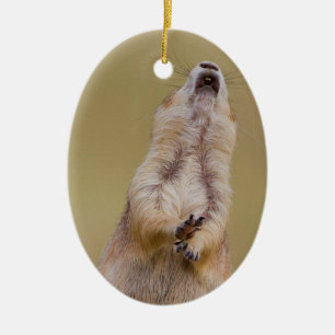 Warnung Keramikornament