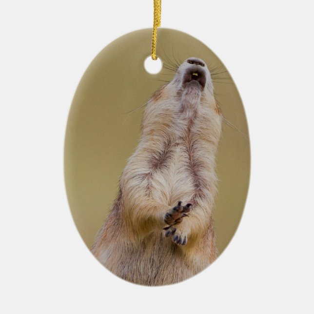 Warnung Keramikornament (Vorne)