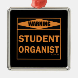 Warnung! Studentenorganisator! Silbernes Ornament