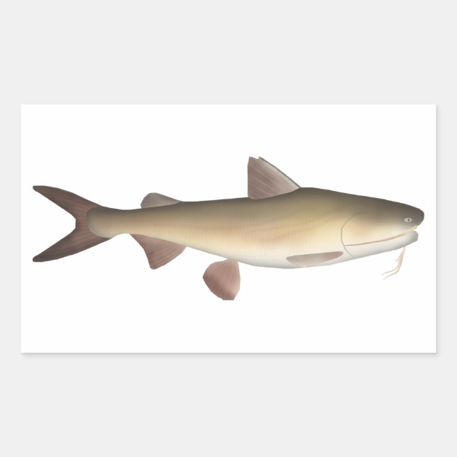 Warrior Catfish Rechteckiger Aufkleber (Vorderseite)