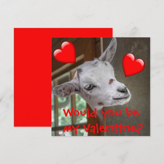 Wärst du mein Valentin? Goat Funny Card (Vorne/Hinten)