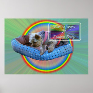 Wart für Sie an der Rainbow Bridge Poster