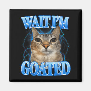 Warte, großartige Katze alberne lustige Katzen-Mem Magnet