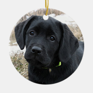 Wartefeder - Labrador Puppy - Schwarzes Labor Keramik Ornament