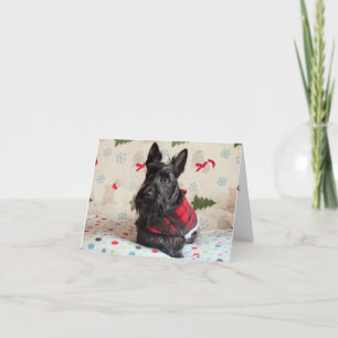 Warten auf Santa Paws Karte (mit Text)