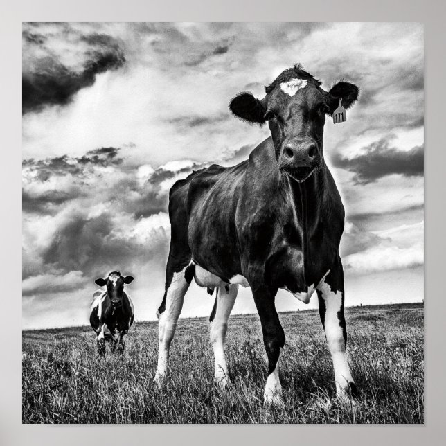 Warten BW Crop Poster (Vorne)