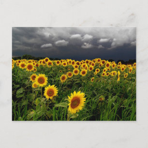 Warten,Postkarten Postkarte