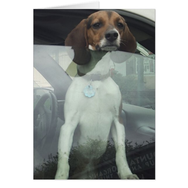 Warten Sie auf mich (Vorne)