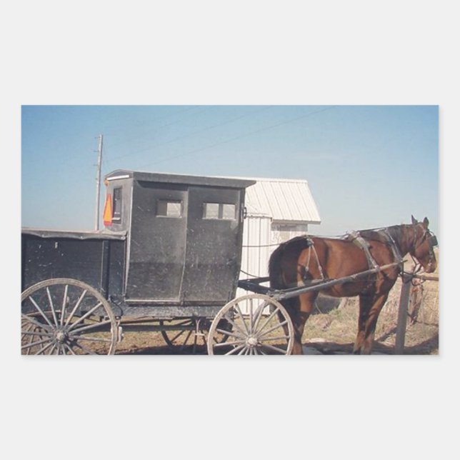 Wartend Pferd und Buggy Rechteckiger Aufkleber (Vorderseite)