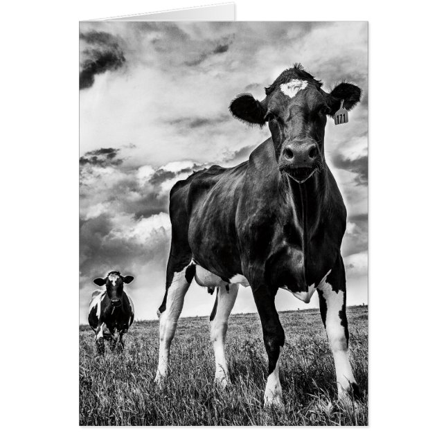 Wartete BW-Ernte (Vorne)