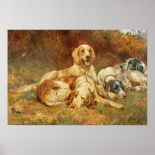 Wartete die Gewehre Poster