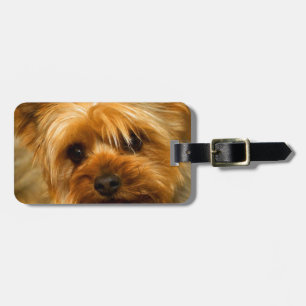 Wartezeit für Mamma-Liebe Yorkie Terrierhund Gepäckanhänger