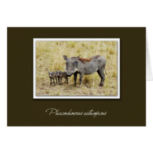 Warthog avec des cartes de safari de porcelets