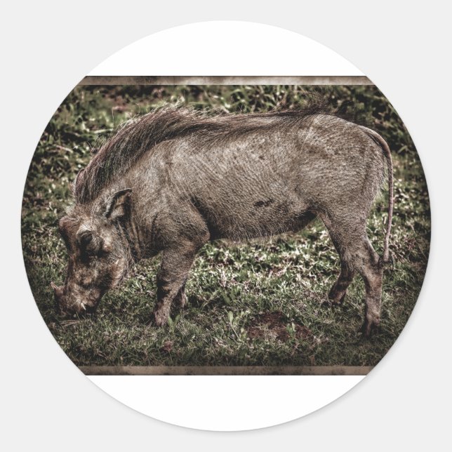 Warthog. Runder Aufkleber (Vorderseite)