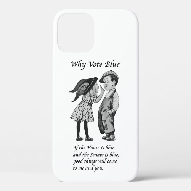 Warum 2024 Blue wählen Case-Mate iPhone Hülle (Rückseite)