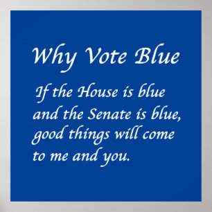 Warum 2024 Blue wählen Poster