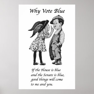 Warum 2024 Blue wählen Poster