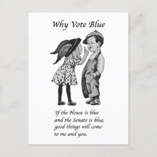 Warum 2024 Blue wählen Postkarte