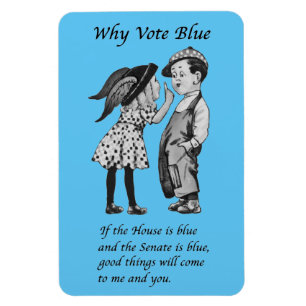 Warum 2026 Blue wählen Magnet