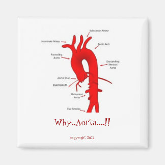 Warum... Aorta?.! 2 Zoll Kühlschrankmagnet