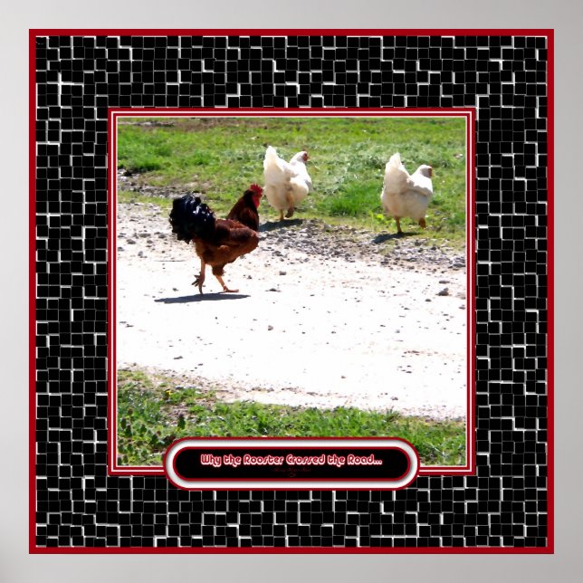 Warum der Rooster die Straße überquerte Poster (Vorne)