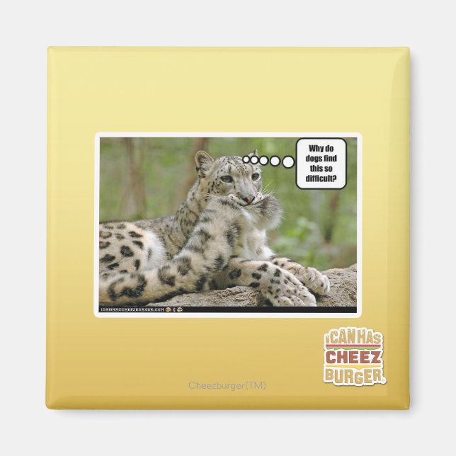 Warum finden Hunde das so schwierig? Magnet (Vorne)