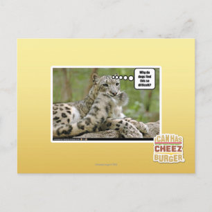 Warum finden Hunde das so schwierig? Postkarte