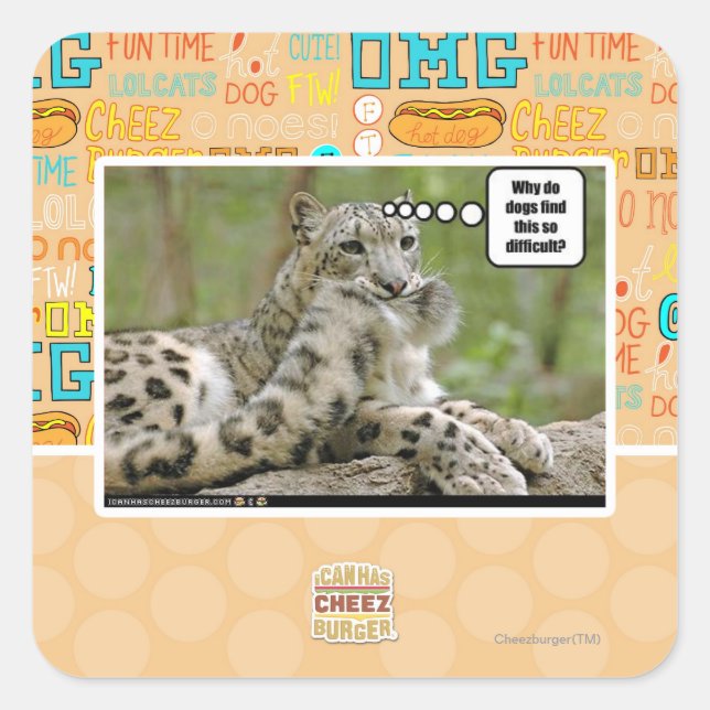 Warum finden Hunde das so schwierig? Quadratischer Aufkleber (Vorderseite)