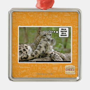 Warum finden Hunde dieses so schwierig? Silbernes Ornament