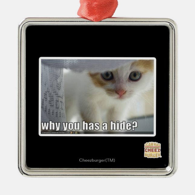 Warum haben Sie ein Fell? Silbernes Ornament (Vorne)