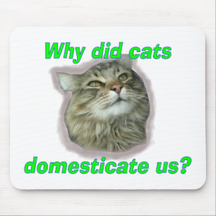 Warum haben uns Katzen domestiziert? Mousepad
